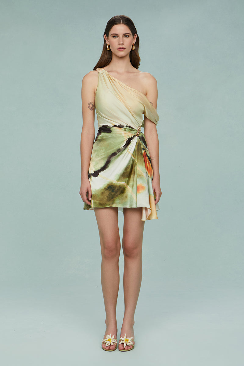 Elowen Print Mini Dress