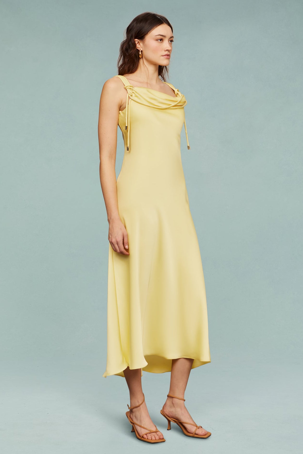 Liza Pleated Midi Dress