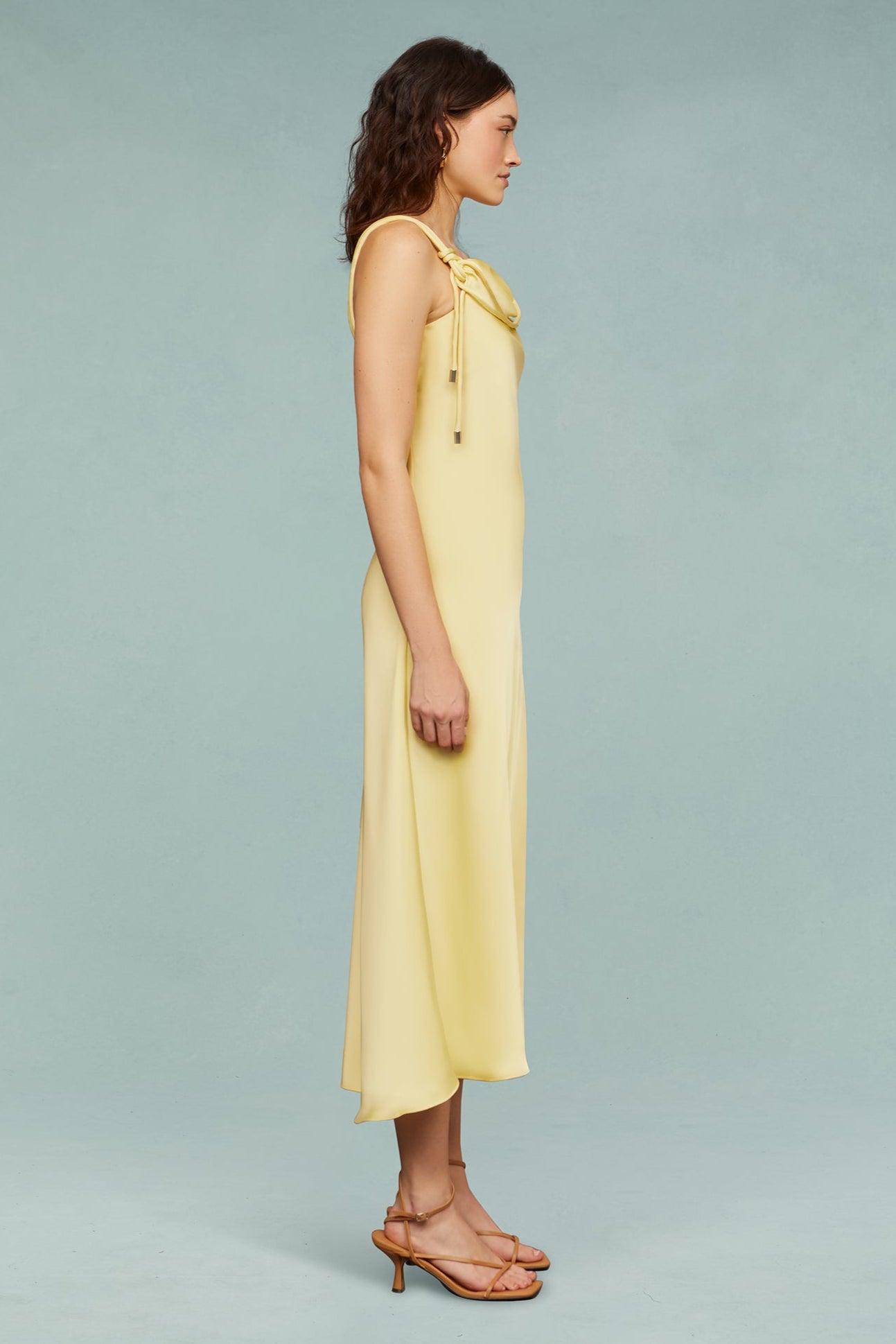 Liza Pleated Midi Dress