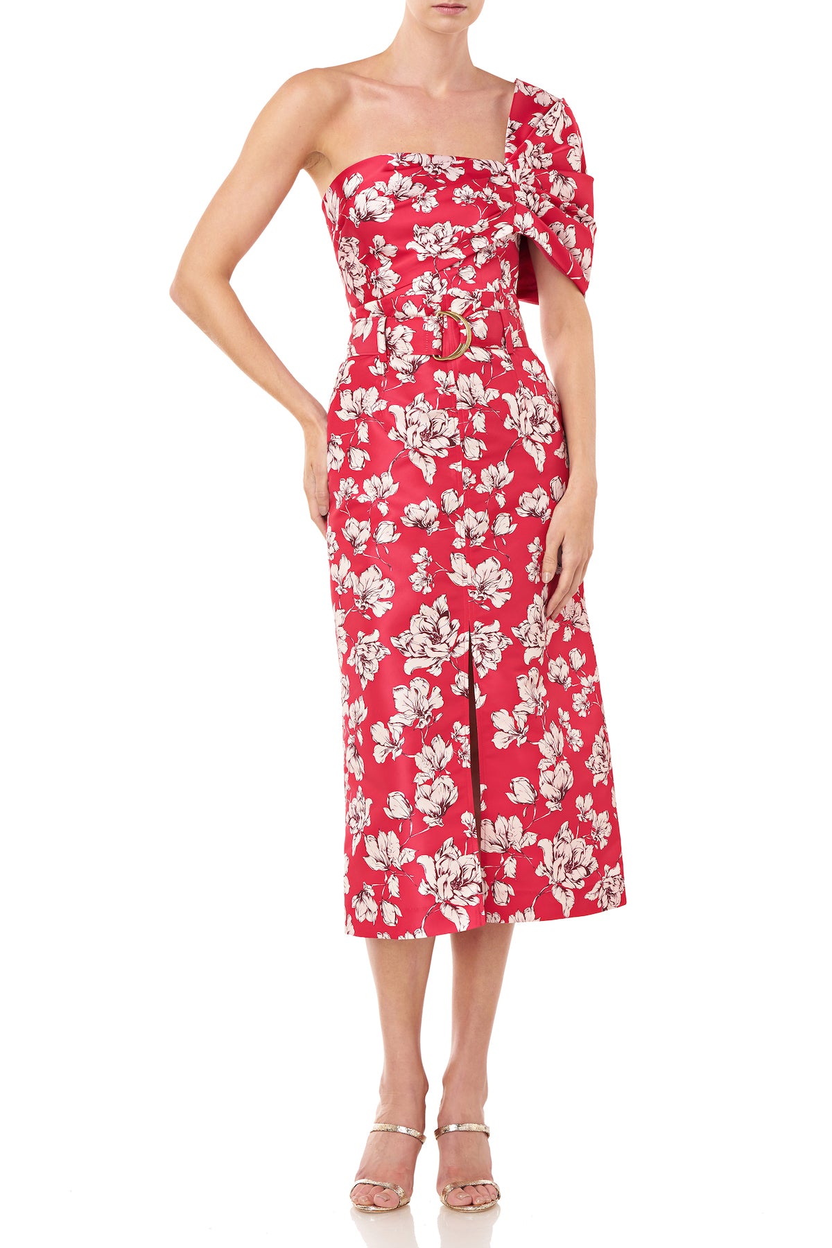 Raspberry Wild Rose