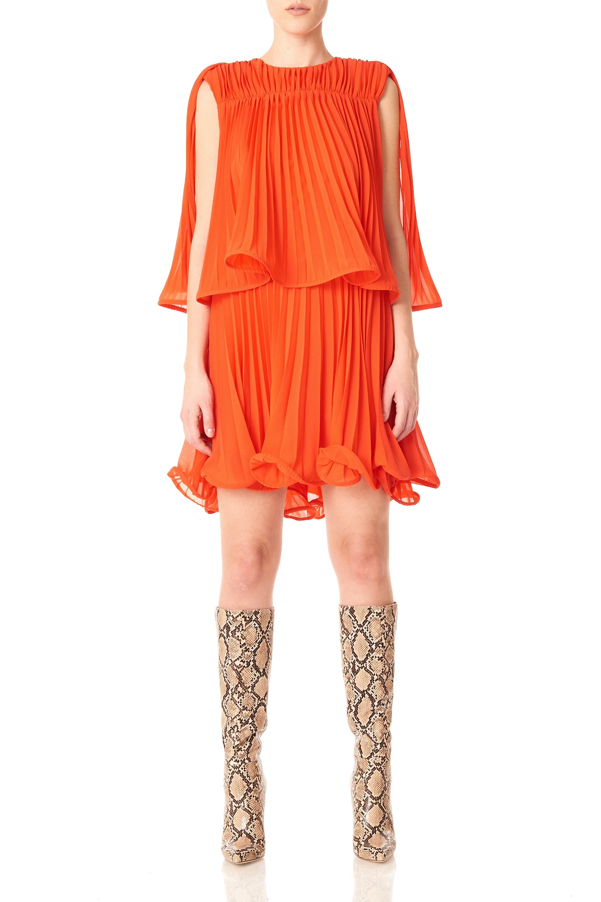Tiger Lily