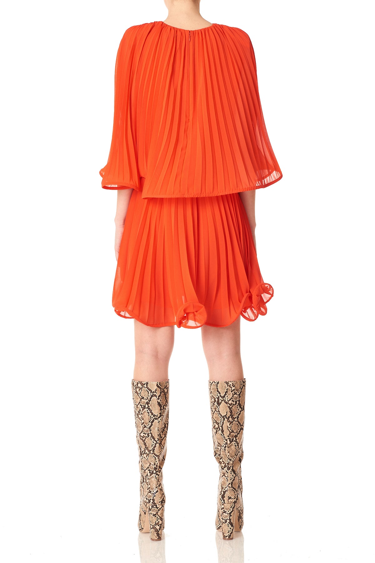 Tiger Lily
