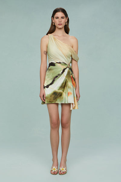 amur mimi mini dress Elowen Print Mini Dress – AMUR